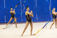 В Туле стартовало первенство Центрального федерального округа по художественной гимнастике, Фото: 64