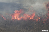 В Мясново загорелось поле, Фото: 17