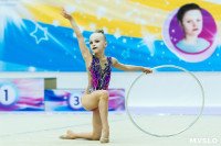 Тула провела крупный турнир по художественной гимнастике, Фото: 114