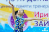 Тула провела крупный турнир по художественной гимнастике, Фото: 68