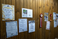 А пони тоже кони: 9-летняя тулячка – числе лучших в конном спорте по выездке, Фото: 24