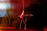 В Туле пройдет Международный детский и молодежный цирковой фестиваль «На языке мира», Фото: 28