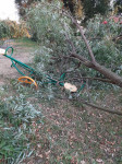 В Туле дерево упало на детскую площадку во дворе многоквартирного дома, Фото: 2