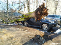 Дерево упало на машину на проспекте Ленина, Фото: 4
