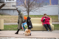 Илья Беспалов проинспектировал состояние общественных пространств Тулы после зимы, Фото: 55