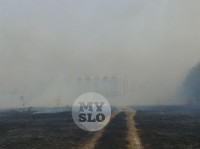 В Туле загорелось поле, Фото: 7