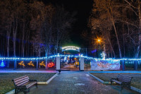 Тульские парки украсили к Новому году, Фото: 17