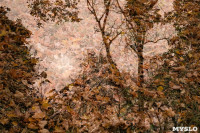 Золотая осень по-тульски, Фото: 117