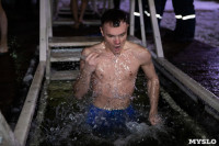 В Центральном парке Тулы прошли крещенские купания, Фото: 92