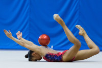 Художественная гимнастика, Фото: 85