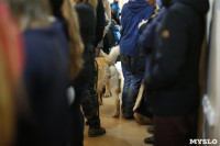 Выставка собак в Туле 29.02, Фото: 50