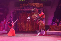 Шоу Гии Эрадзе «5 континентов» в Тульском цирке: феерия уже началась!, Фото: 95
