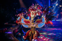 Новое грандиозное шоу Гии Эрадзе «Королевский цирк» стартует в Тульском цирке, Фото: 26