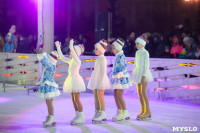 Туляки отметили Старый Новый год ледовым шоу, Фото: 17