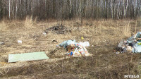 Поселок Славный в Тульской области зарастает мусором, Фото: 9