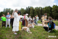 Фестиваль охоты в Ясной Поляне, Фото: 3