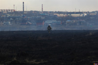 Сразу в нескольких районах Тульской области загорелись поля, Фото: 9