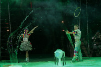 В Тульском цирке прошла премьера аква-шоу, Фото: 1