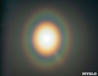 Тульский фотограф запечатлел пыльцевую корону вокруг солнца, Фото: 12