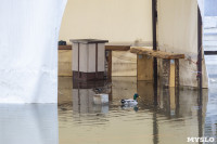 Паводок в Туле: Упа затопила кафе на набережной, Фото: 25