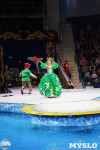 Цирк на воде «Остров сокровищ» в Туле: Здесь невозможное становится возможным, Фото: 50
