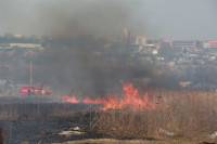 Возгорание сухой травы напротив ТЦ "Метро", 7.04.2014, Фото: 24