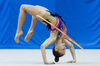 Художественная гимнастика, Фото: 38
