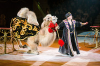 "Чудеса под Новый год" в Тульском цирке, Фото: 66