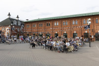 Фестиваль PATIO JAZZ FEST в Туле: как это было, Фото: 165