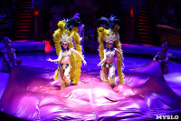 Грандиозное цирковое шоу «Песчаная сказка» впервые в Туле!, Фото: 50