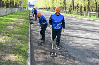 Сотрудники тульской площадки «ПМХ» и «Промсорт-Тулы» приняли участие в общеобластном субботнике, Фото: 5