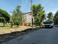 вырубка деревьев во дворе дома №33 по ул. Горького в Туле, Фото: 10
