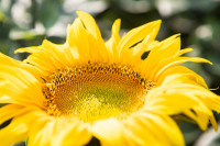, Фото: 92
