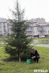 Новогодняя ёлка в Петровском квартале, Фото: 5