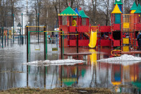 В Туле затопило Баташевский сад, Фото: 29