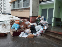 «Подъздные пути расчистили, а мусор не убирают»: жители улицы Некрасова жалуются на работу «Хартии» , Фото: 5