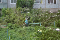 Ураган в Ефремовском районе, Фото: 6