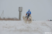 Гонки на собачьих упряжках «Большой тур» на Куликовом поле, Фото: 41