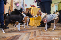Всероссийская выставка собак 2017, Фото: 34