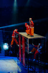Успейте посмотреть шоу «Новогодние приключения домовенка Кузи» в Тульском цирке, Фото: 79