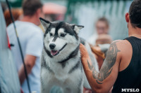Всероссийская выставка собак в Туле, Фото: 59