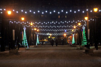 Тульские парки украсили к Новому году, Фото: 3