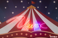 Звезды манежа в цирке, Фото: 215