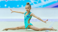 Тула провела крупный турнир по художественной гимнастике, Фото: 39