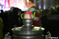 Открытие главной ёлки на площади Ленина, Фото: 12