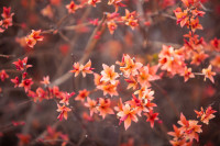 , Фото: 4