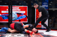 В «Тула-Арене» состоялись областные соревнования по ММА, Фото: 109