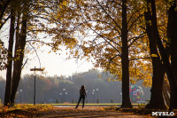Центральный парк, утро, осень, Фото: 31