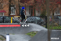 Сквер им. 30-летия ВЛКСМ в Новомосковске, Фото: 47