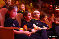 Династийные жонглеры поделились опытом с юными артистами Тульского цирка, Фото: 14